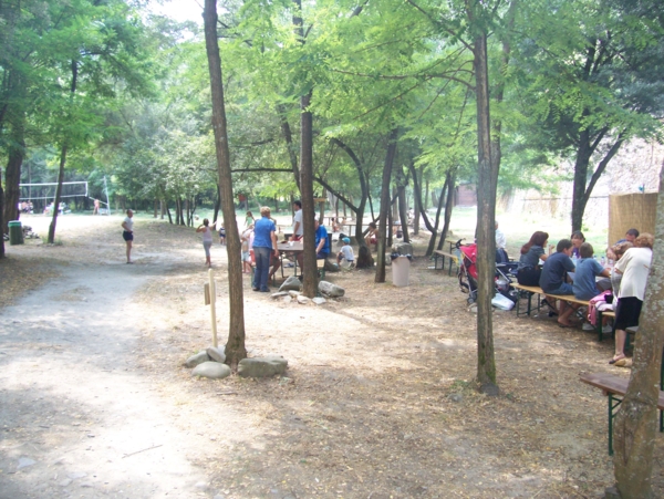  Image name: Parco14.jpg 
 width: 600 pixel 
 height: 451 pixel 
 Size: 291162 bytes 
 Click to enlarge 